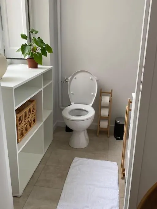 Appartement Plein Centre Λυών Γαλλία