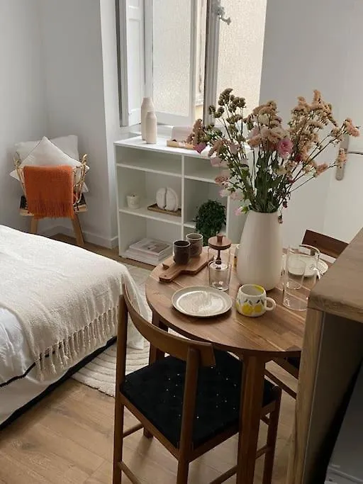 Διαμέρισμα Appartement Plein Centre Λυών